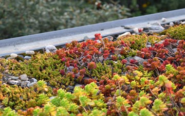 the cost of Heatherfield green roof installation