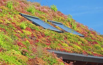 Heatherfield living roof systems
